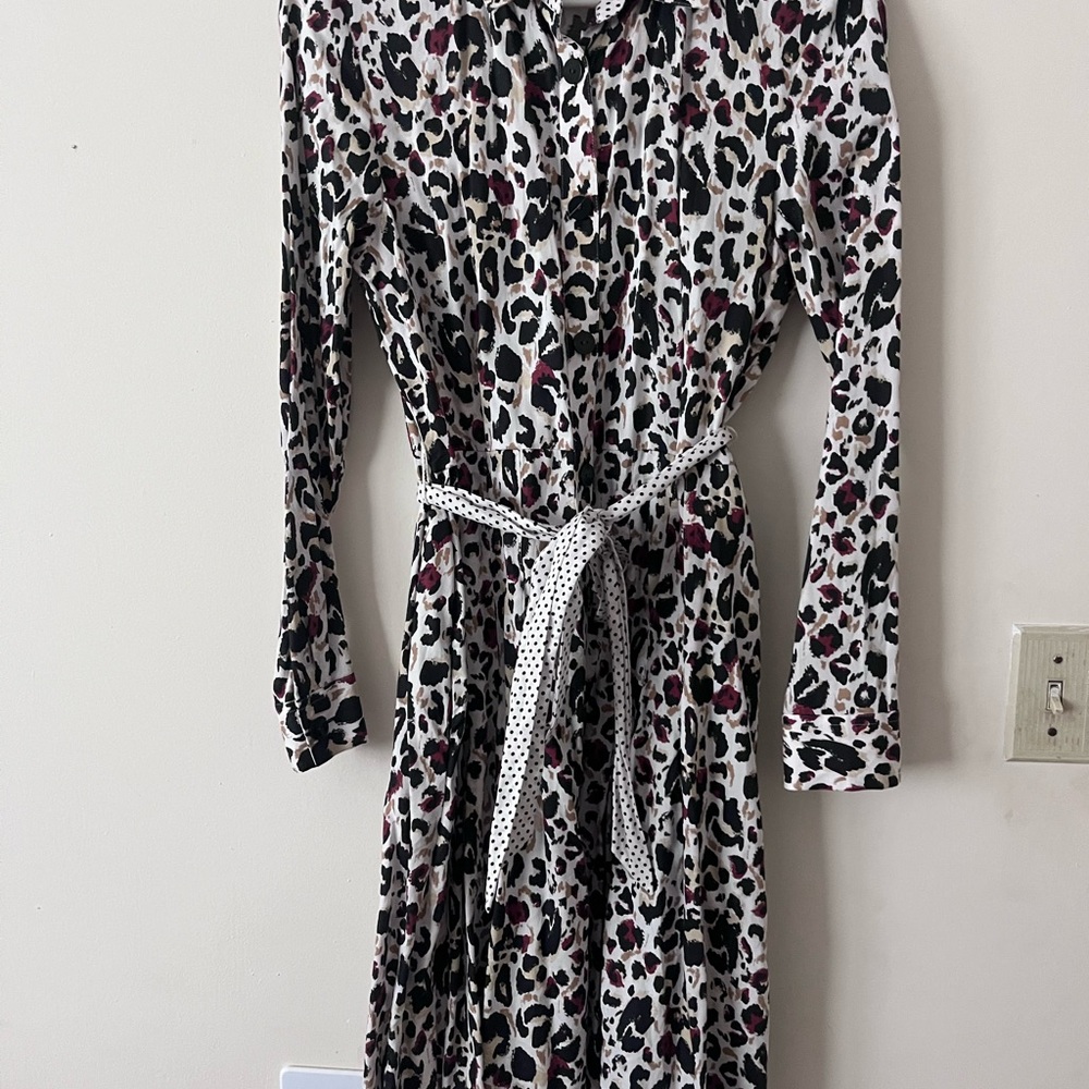 Leopard Print Long Sleeve Dress